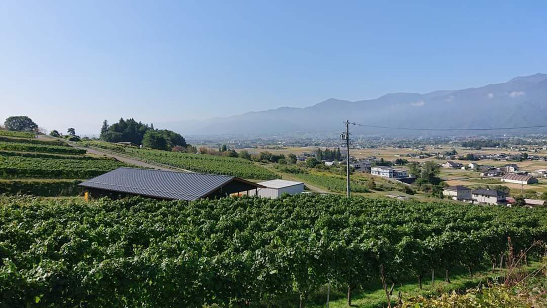 追跡！ワイナリー最新情報！『DOMAINE HIROKI』「池田町をワインの町に