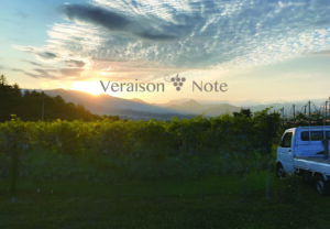 追跡！ワイナリー最新情報！『Veraison-note』自社醸造所の建設に向けて、新たに動き出す