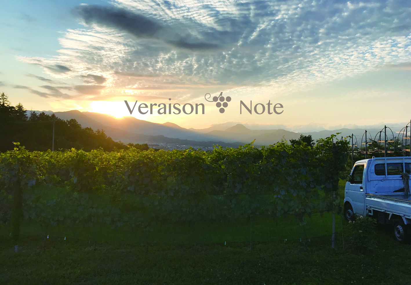 追跡！ワイナリー最新情報！『Veraison-note』自社醸造所の建設に向け
