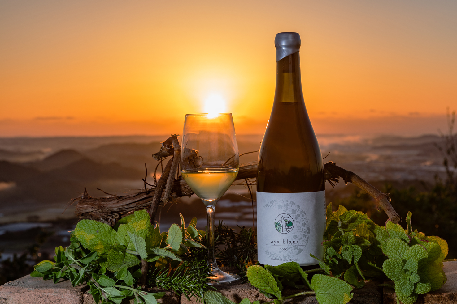 追跡！ワイナリー最新情報！『香月ワインズ』苦しいヴィンテージを