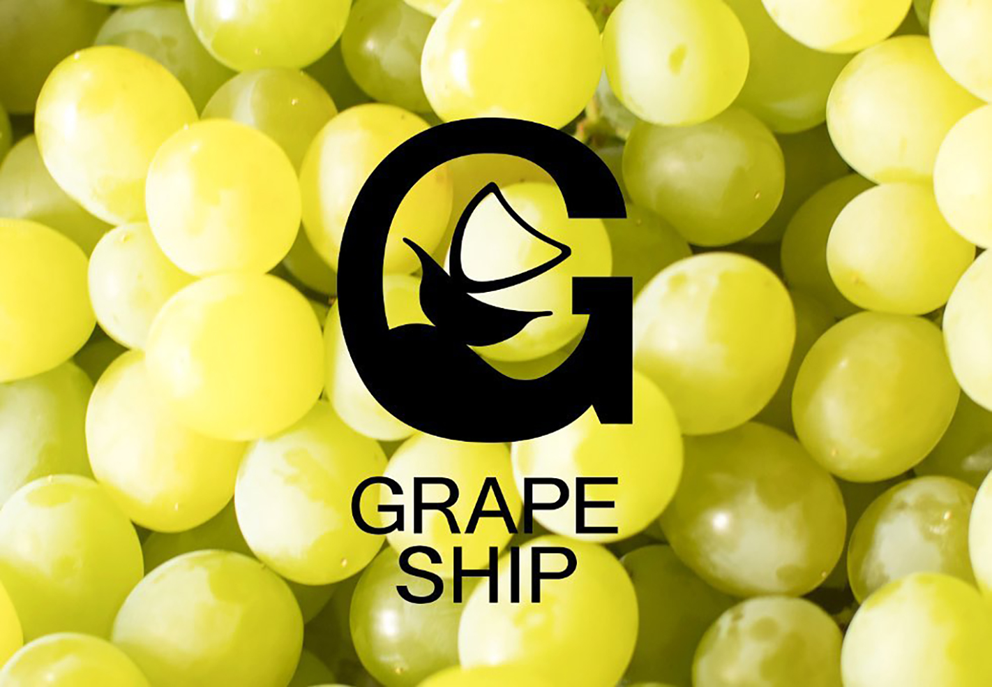 GRAPE SHIP（グレープ・シップ）』マスカット・オブ・アレキサンドリア