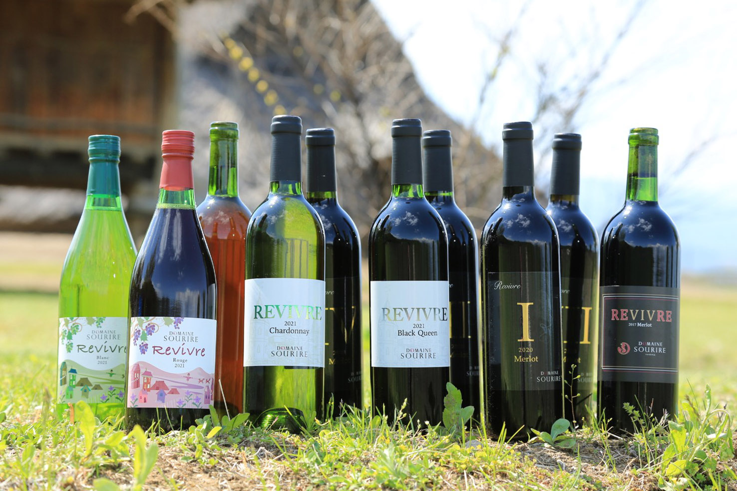 ドメーヌモン4本セット＆さっぽろ藤野ワイナリー バンビ・ツー 2020 ドメーヌモン4本セット＆さっぽろ藤野ワイナリー バンビ・ツー 2020 ワイン