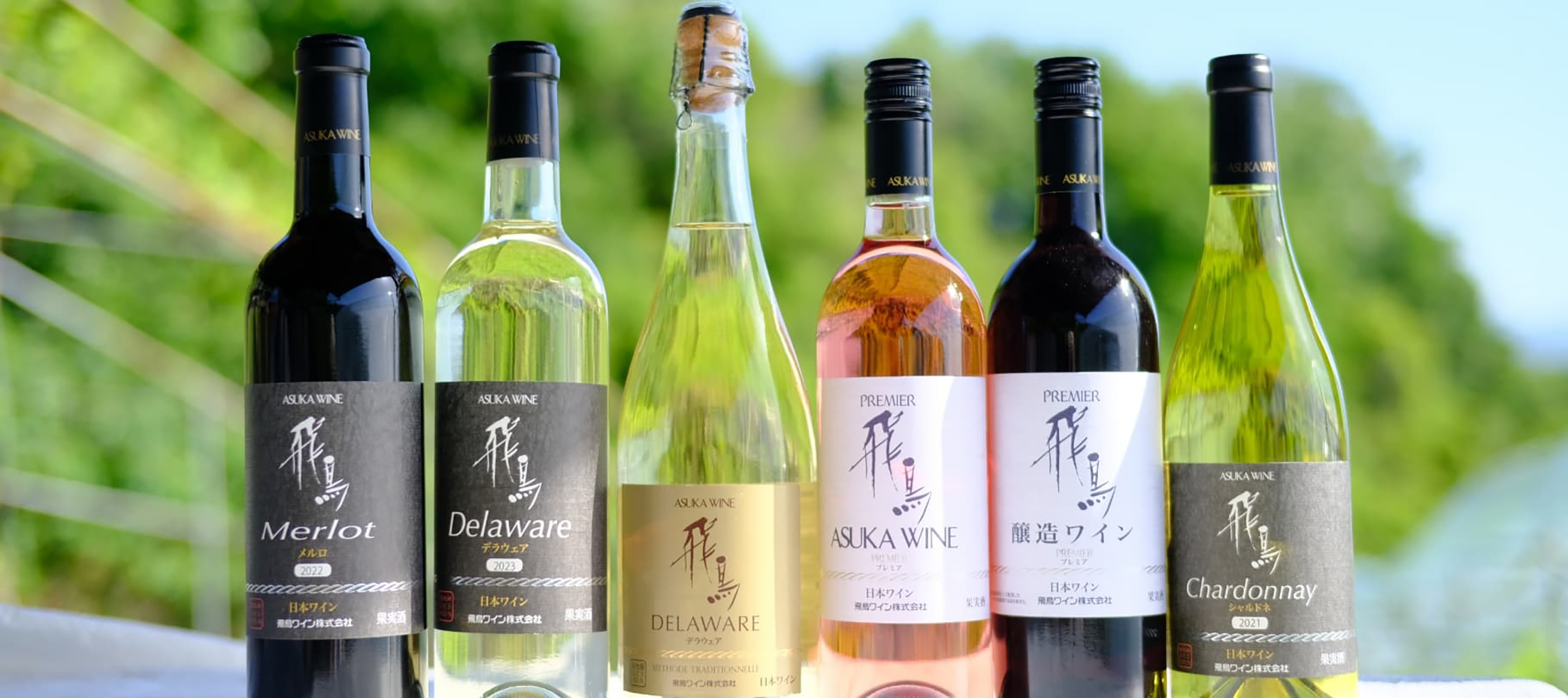 飛鳥ワイン 』創業90年！自社栽培の高品質なぶどうが自慢の老舗