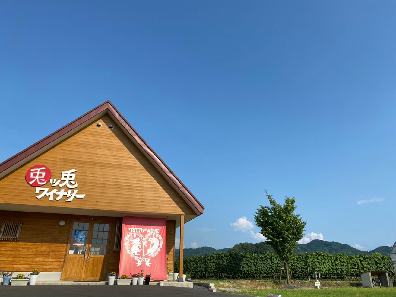 追跡！ワイナリー最新情報！『兎ッ兎（とっと）ワイナリー』山陰をより